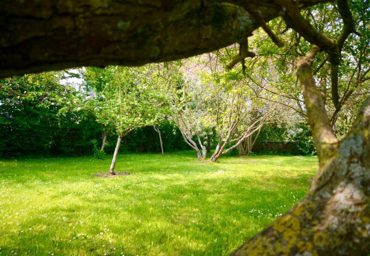 Vila Maison Charmante A Ri Avec Jardin Et Terrasse Ri Exteriér fotografie